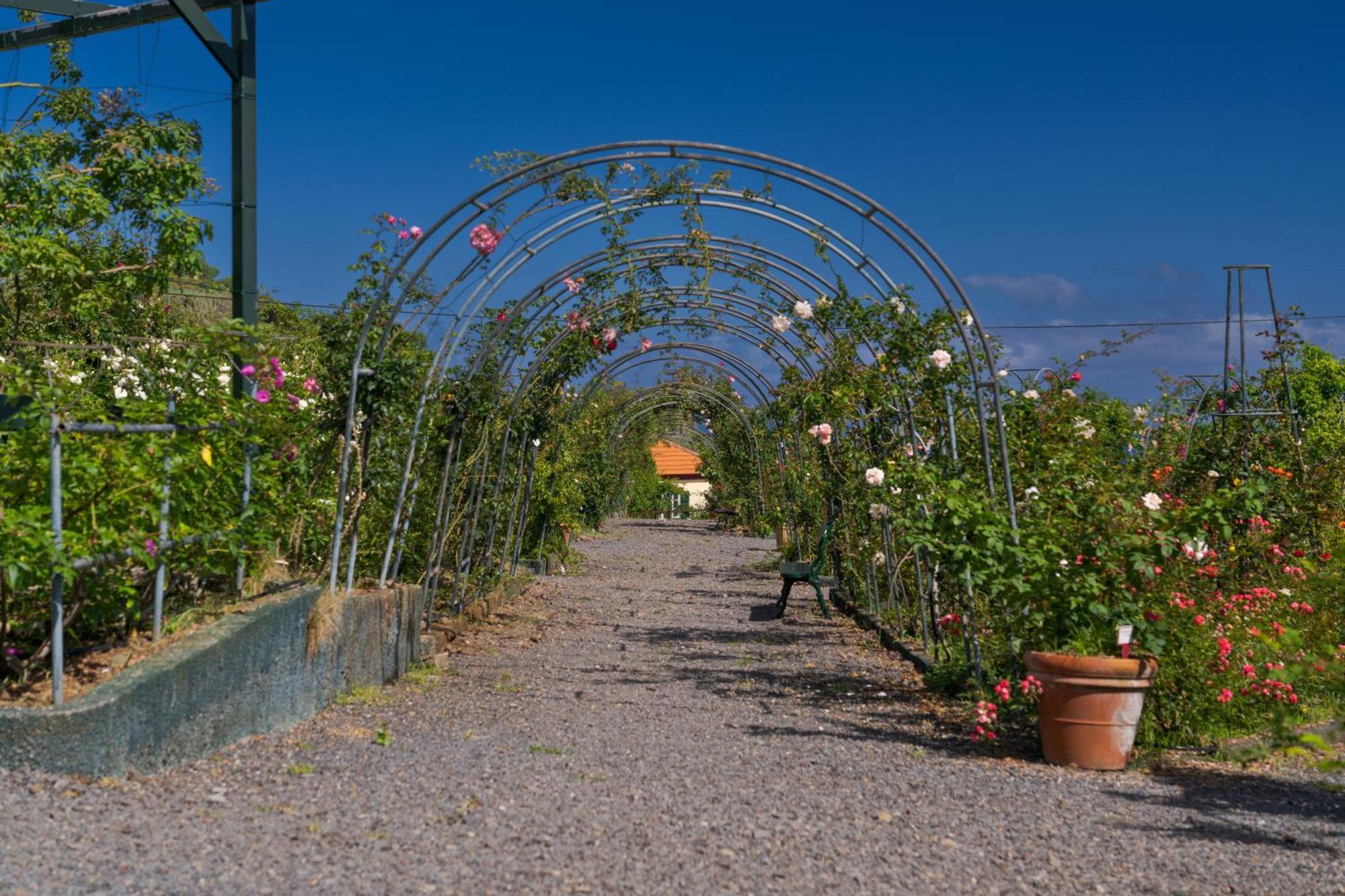 Pestana Quinta Do Arco Nature & Rose Garden Hotel Arco de São Jorge Zewnętrze zdjęcie