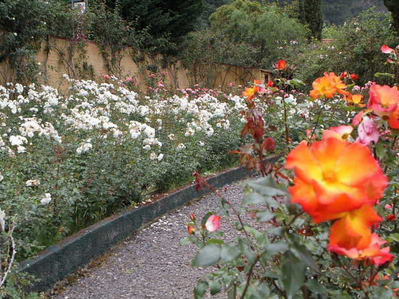 Pestana Quinta Do Arco Nature & Rose Garden Hotel Arco de São Jorge Zewnętrze zdjęcie
