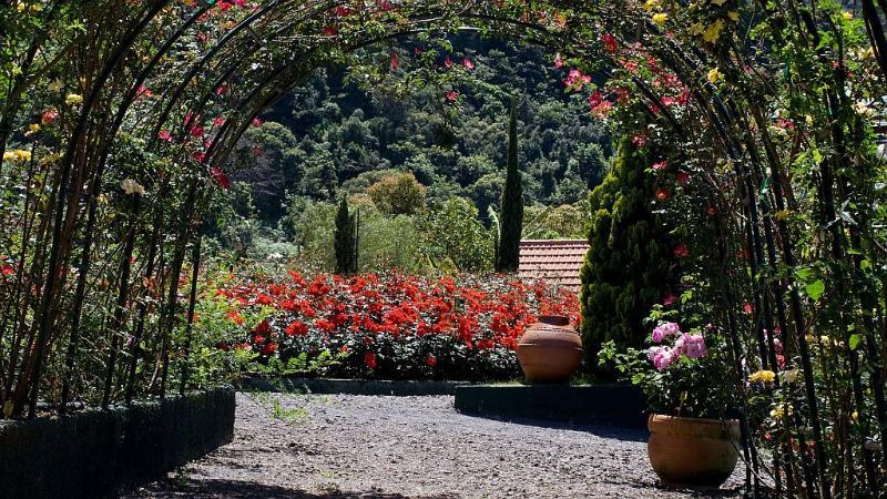 Pestana Quinta Do Arco Nature & Rose Garden Hotel Arco de São Jorge Zewnętrze zdjęcie
